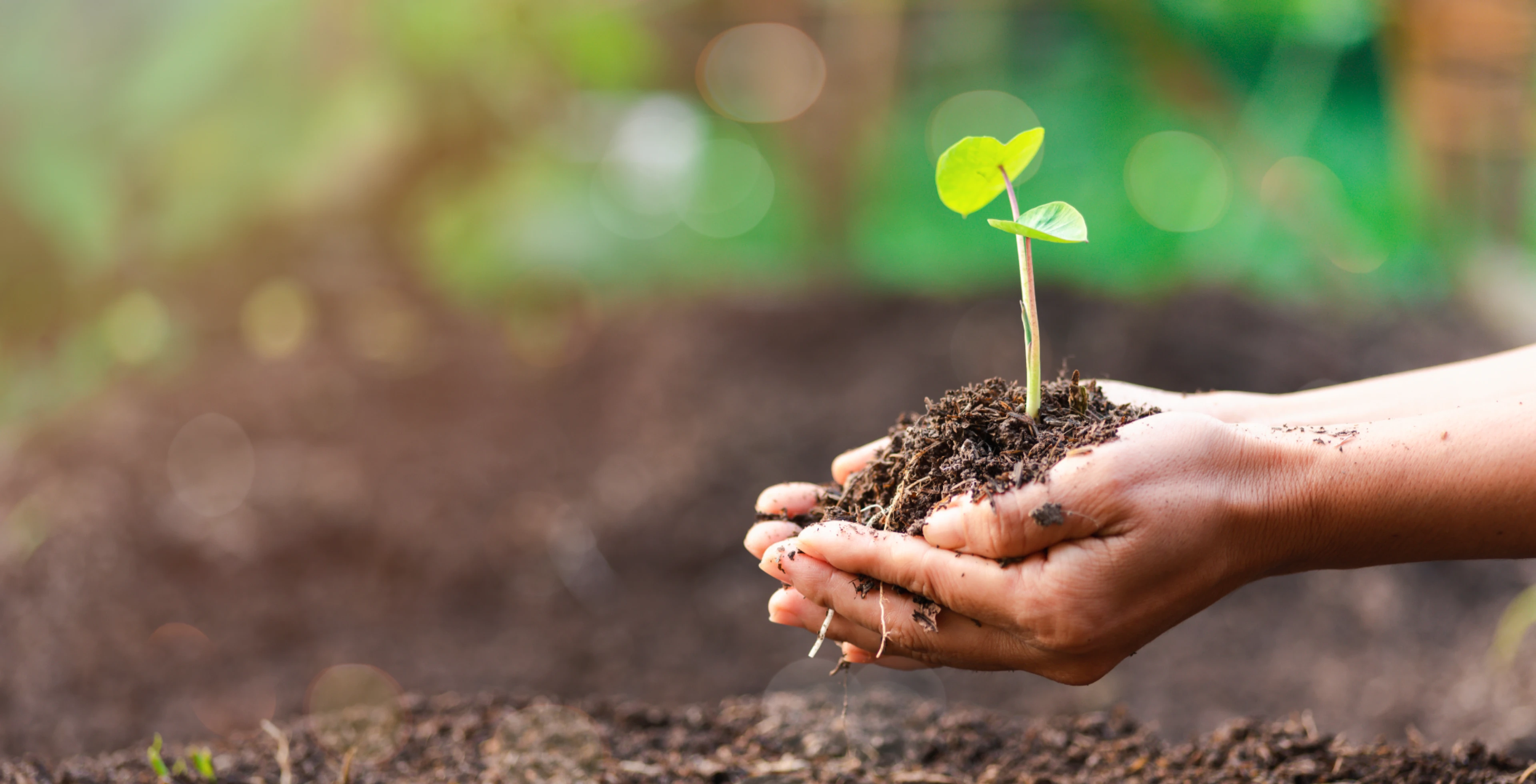 禾榮科技股份有限公司